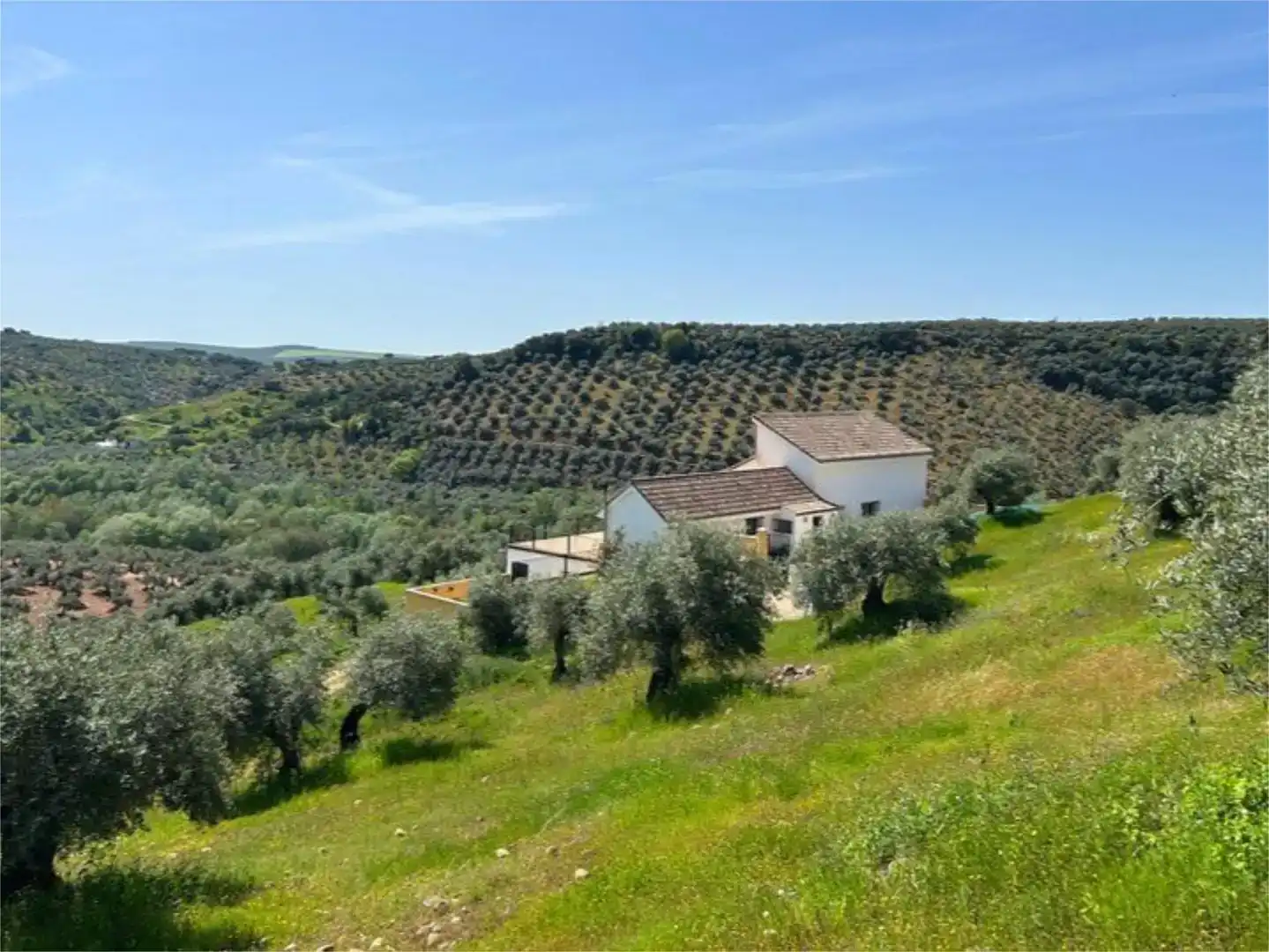 Vista exterior de Pis en venda en Montoro amb Aire condicionat, Jardí privat i Traster