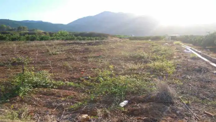 Terreno en venta en Simat de la Valldigna