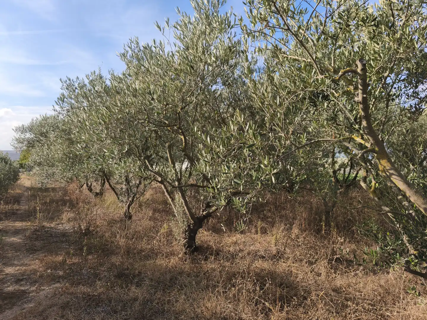 Land for sale in  Logroño