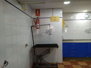 Local commercial à vendre à Avenida Vicente Ferri 45