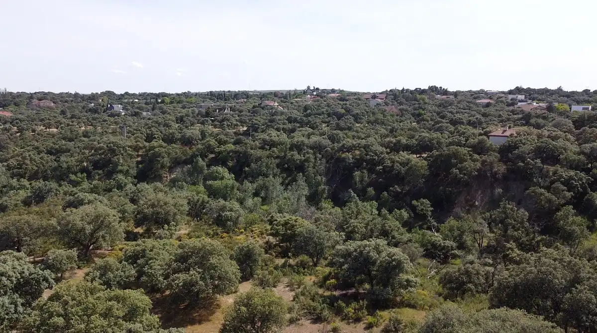 Casa con terrazza in vendita a Raya del Palancar - Guadamonte, imagen 26