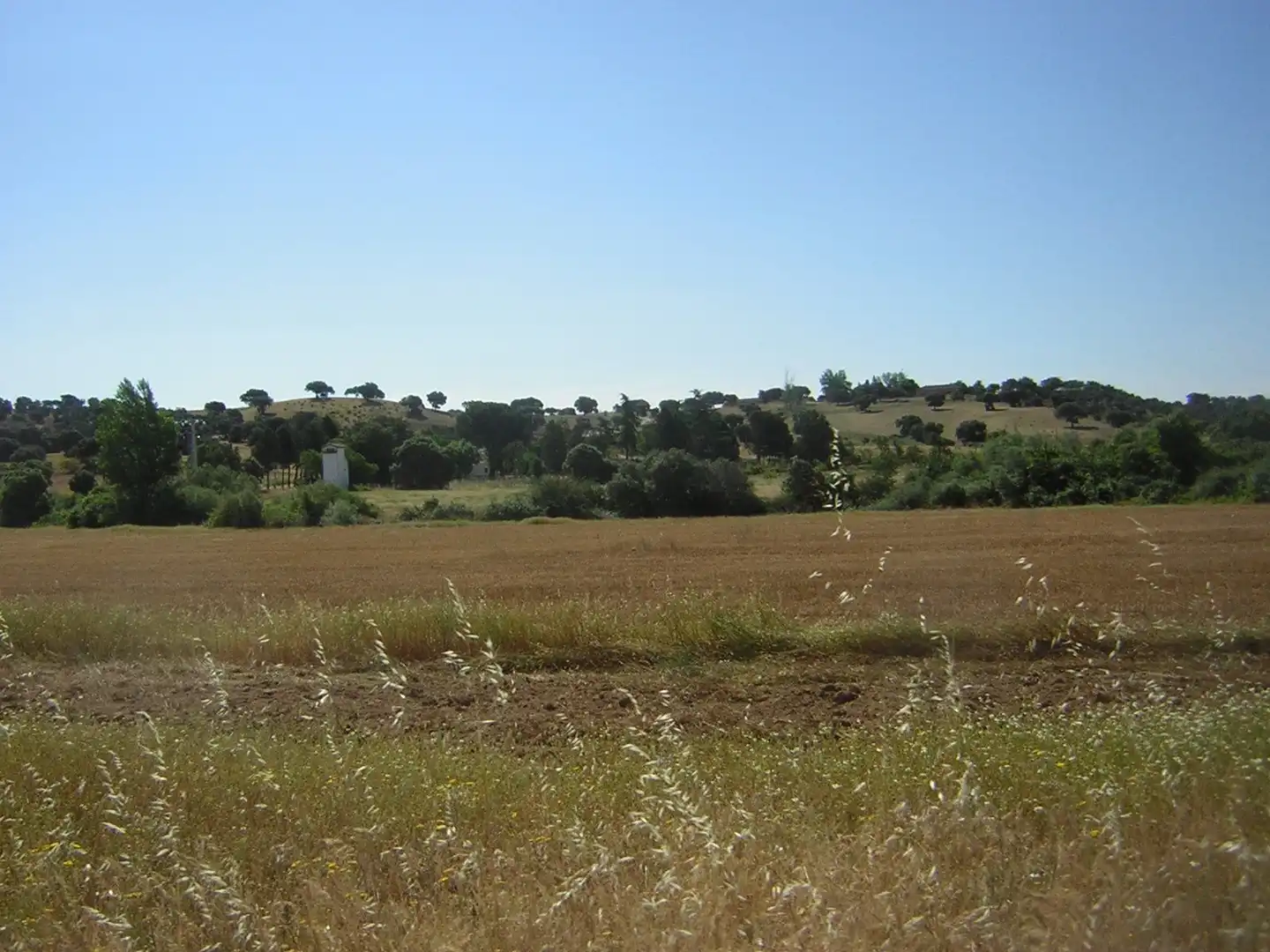 Rural land for sale in Almorox, imagen 10