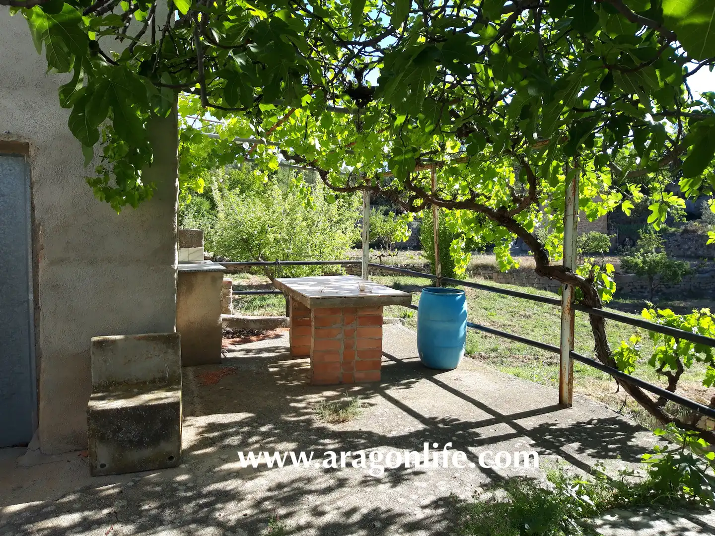 Jardín de Finca rústica en venta en Calaceite