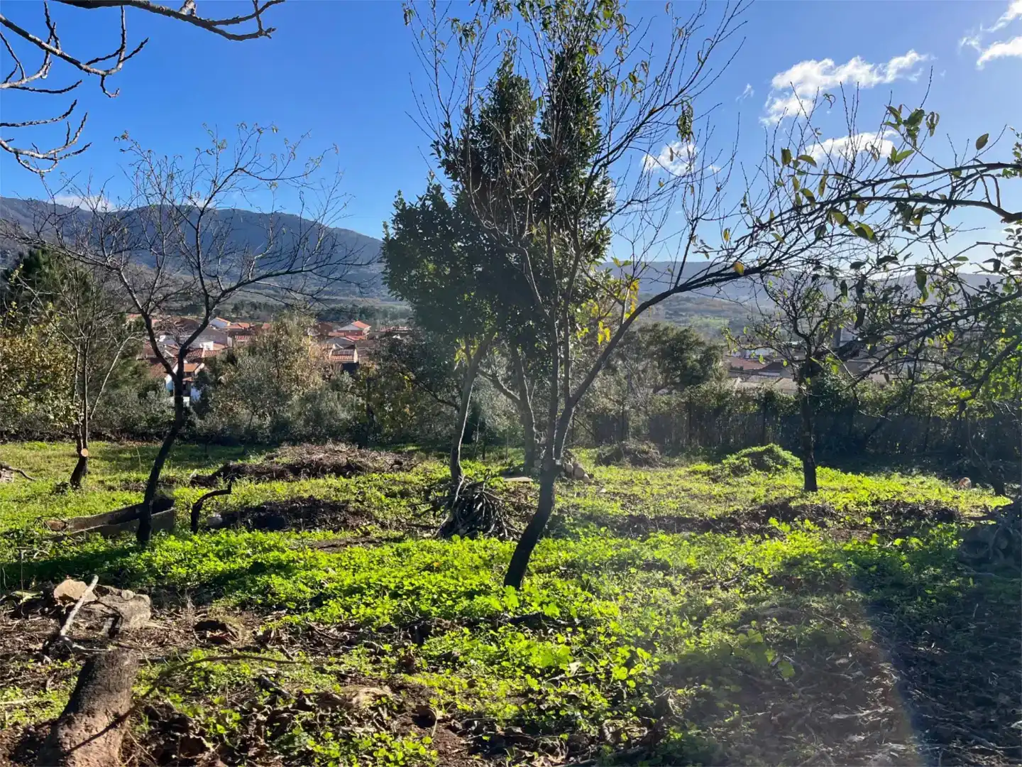 Terreno en venta en Valverde del Fresno