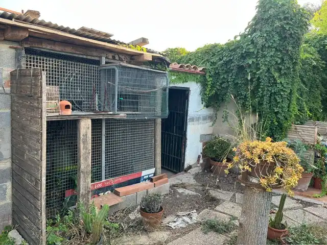 Terreno rustico in vendita a Este, imagen 12