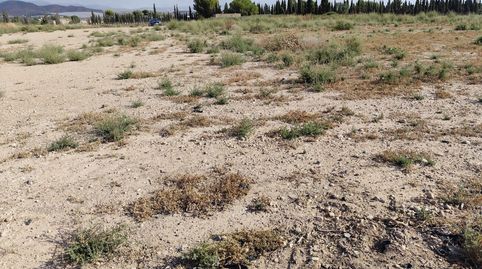 Dos Parcelas en Venta en Totana, immagine 2