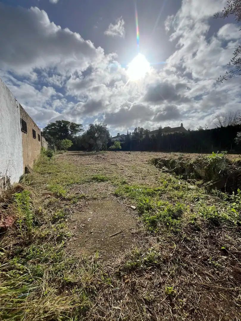 Residential for sale in Palomares del Río