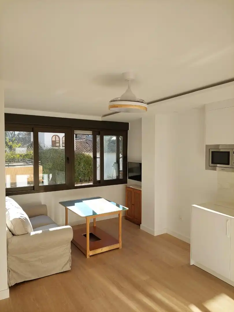 Studio with pool to rent in ESCORIAZA, imagen 15