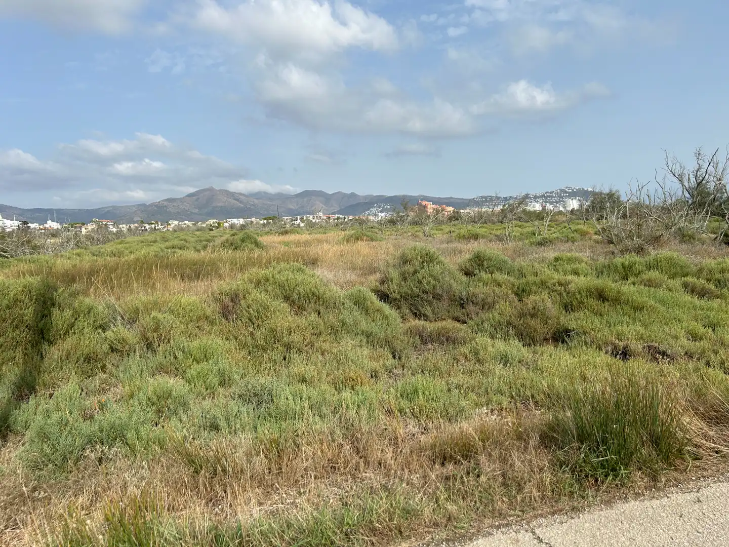 Terreny rústic en venda a Castelló d'Empúries, imagen 6