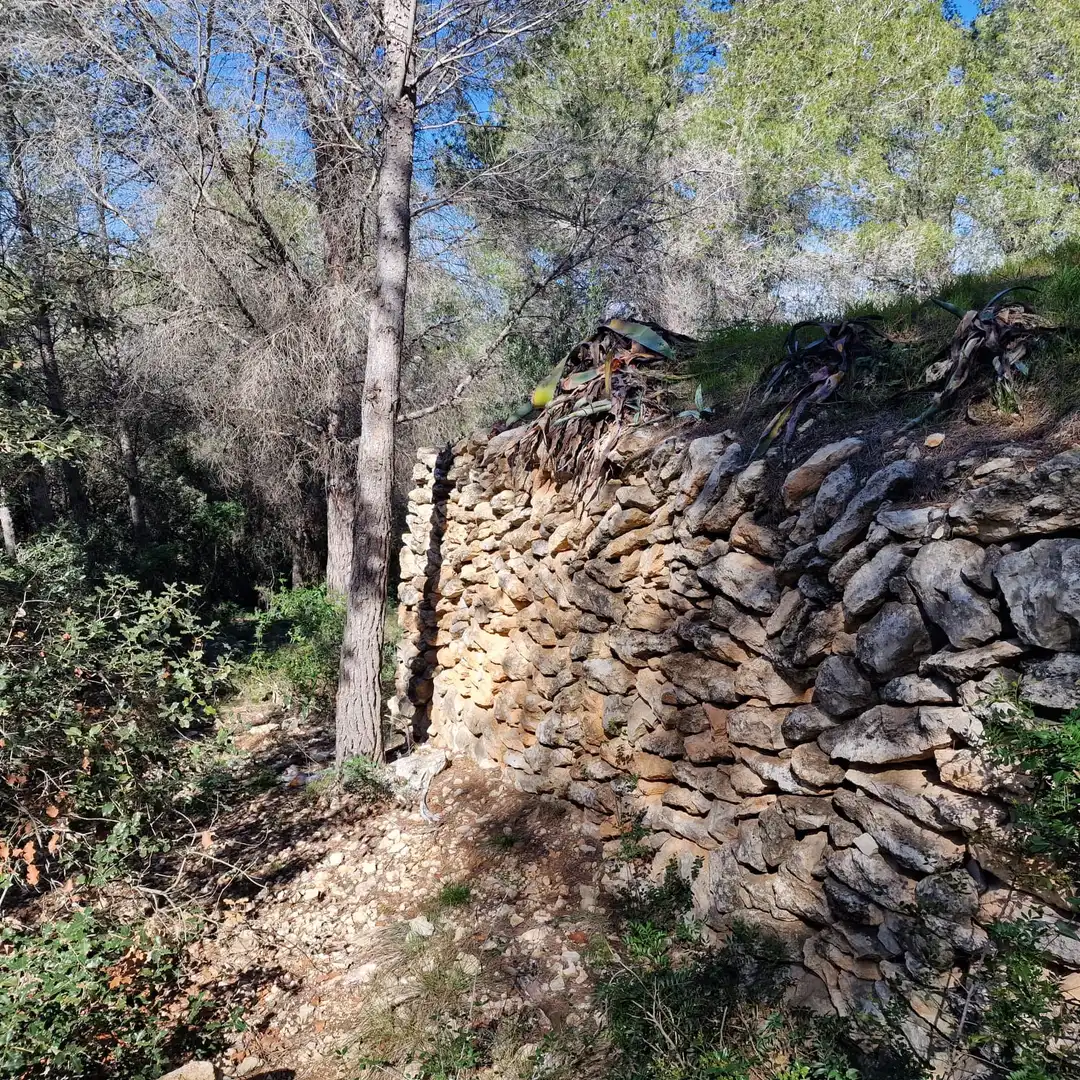 Terreno residencial en venta en Carrer Gessamí 18, imagen 18