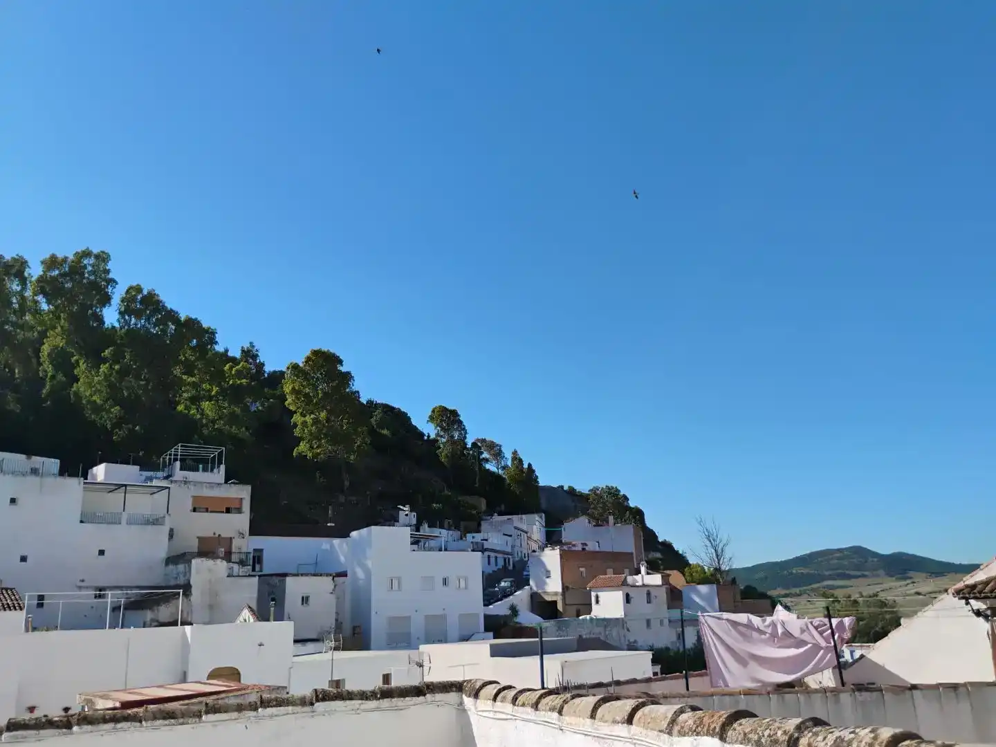 Vista exterior de Casa adosada en venda en Alcalá de los Gazules amb Balcó