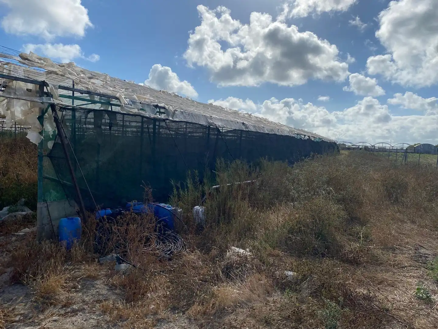 Rural land for sale in Norte - Blanca Paloma, imagen 5