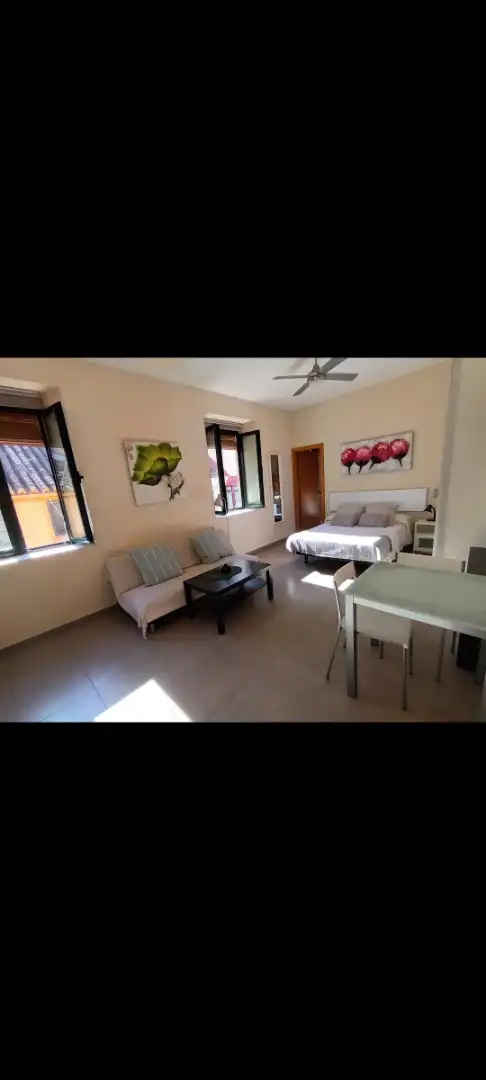 Wohnzimmer von Wohnung zur Miete in Málaga mit Möbliert