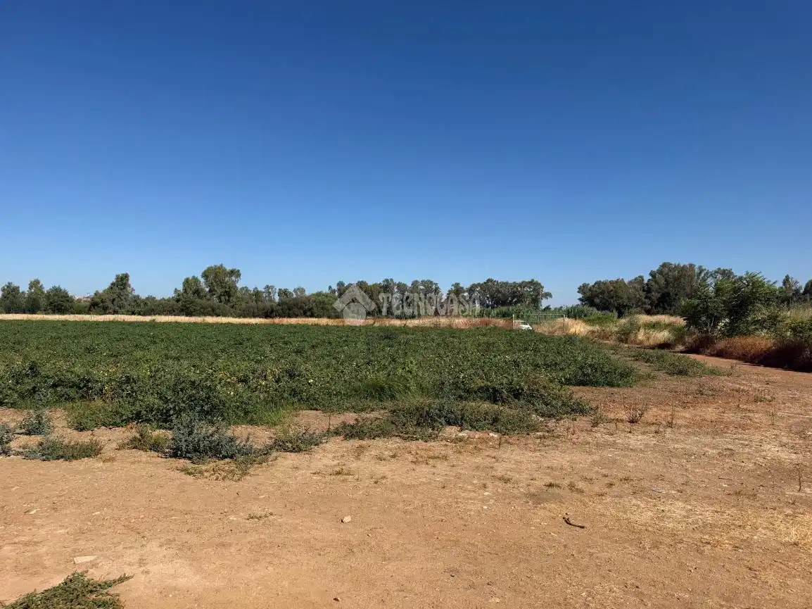 Casa rústica en venda a San Roque - Ronda Norte, imagen 31