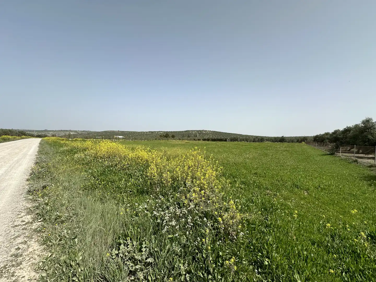 Terrenos y solares en venta en Úbeda, imagen 4