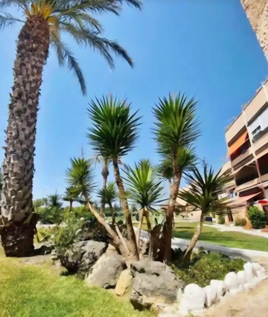 Flat for sale in Camino del Pueblo, imagen 17