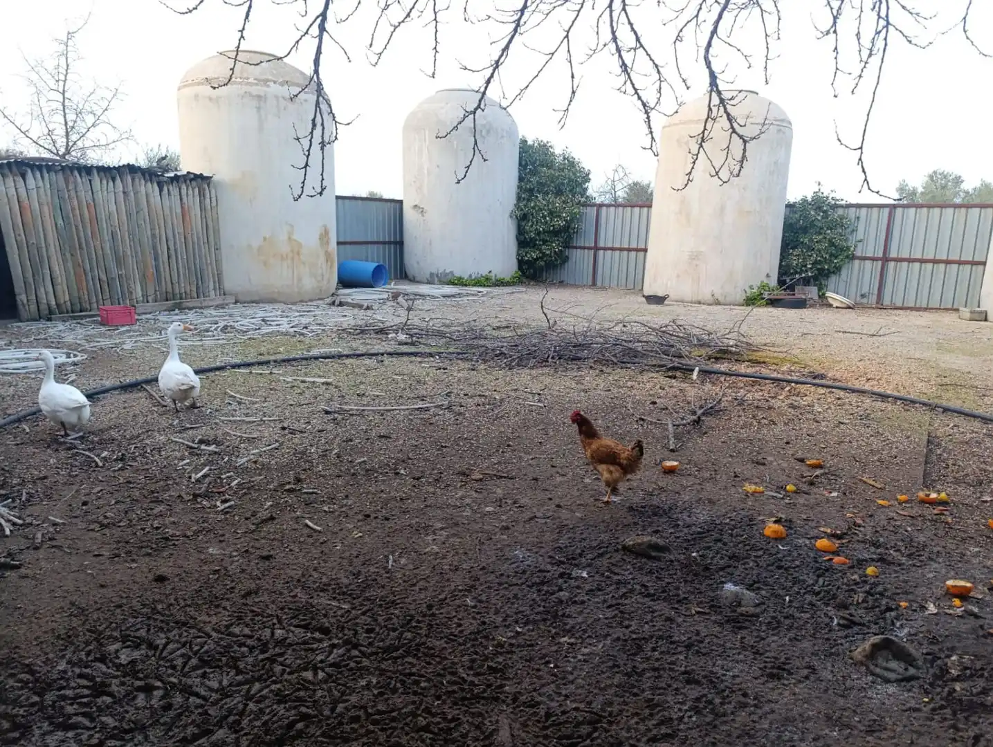 Casa rústica en venda a Valdepeñas, imagen 12