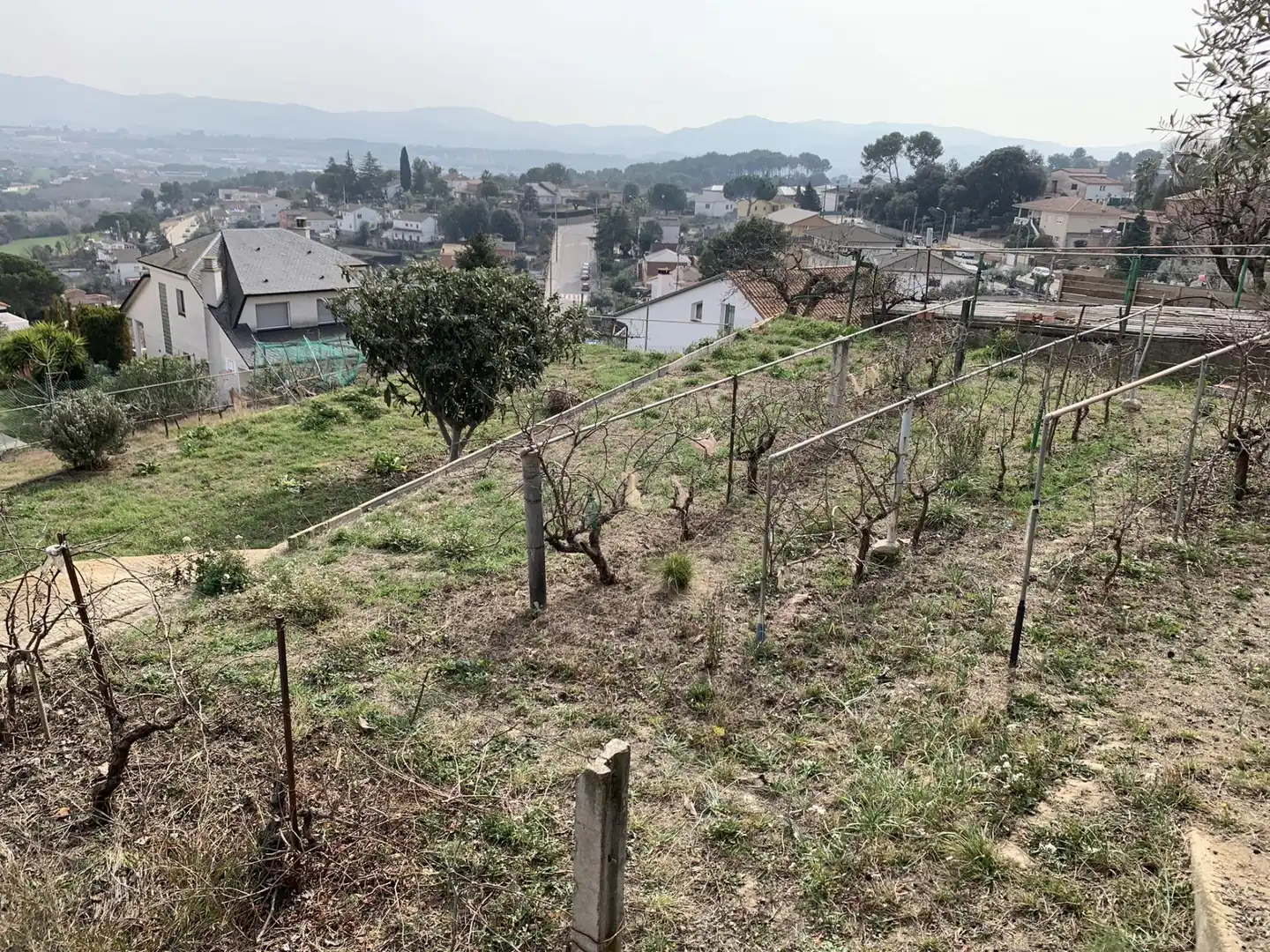 Terrenos y solares en venta en Calle SANTA LAURA, imagen 5