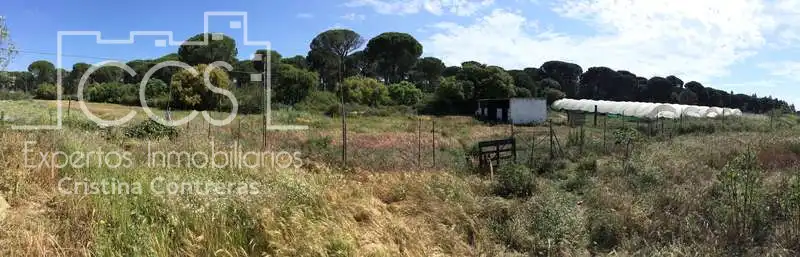 Finca rústica en venda en Almonte amb Terrassa i Moblat