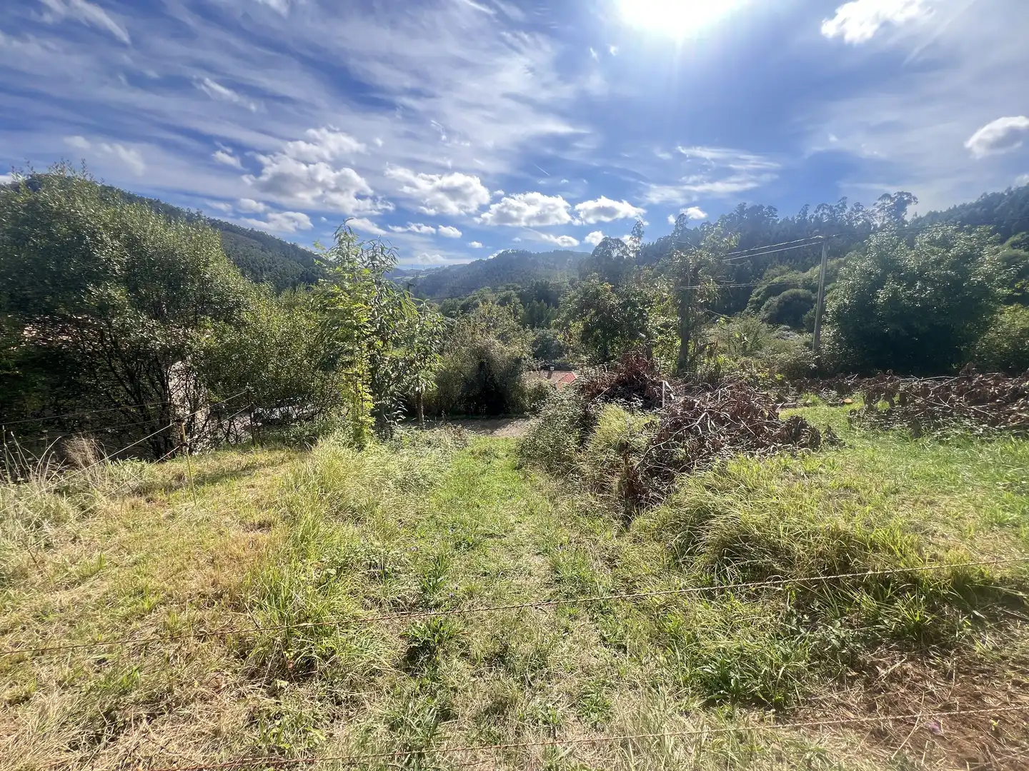 Lands and plots for sale in Pillarno, imagen 22