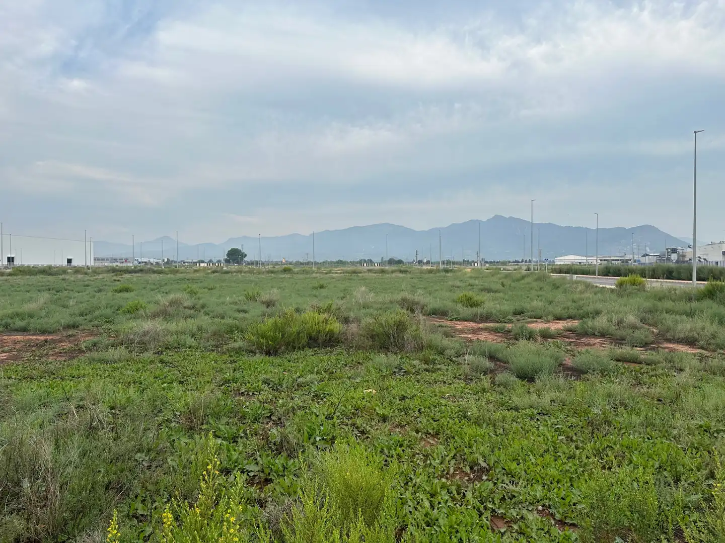 Industrial land for sale in Nules, imagen 8