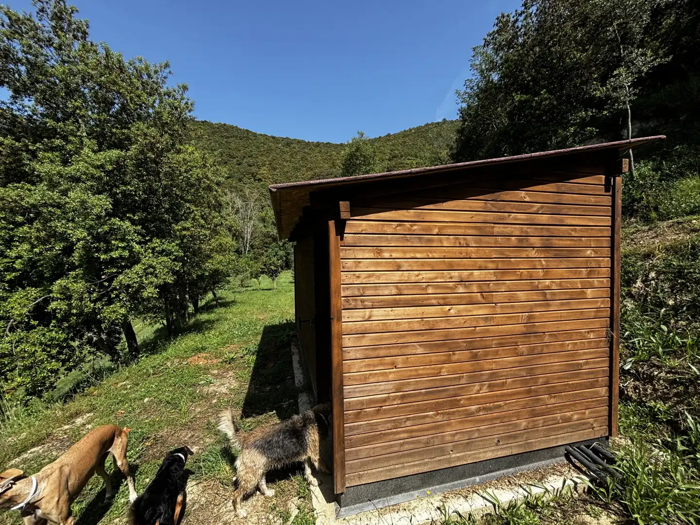 Garden of Country homes for sale in Sant Aniol de Finestres  with Terrace and Swimming Pool