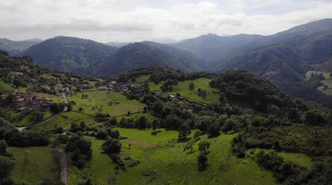 Foto 5 de Terreny en venda a Polígono 146 Parcela 367 Llana. Grado (asturias), 146, Grado, Asturias