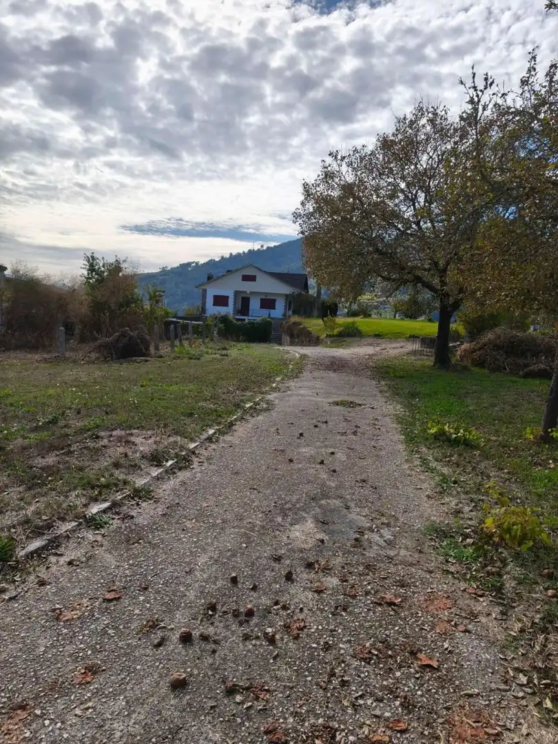 Land for sale in Ribadavia