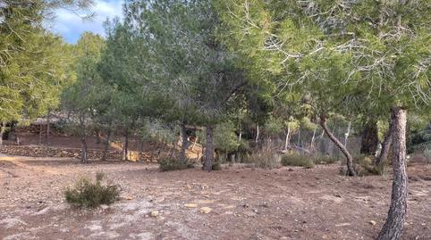 Foto 2 de Finca rústica en venda a Camino de las Balsas, El Esparragal, Murcia