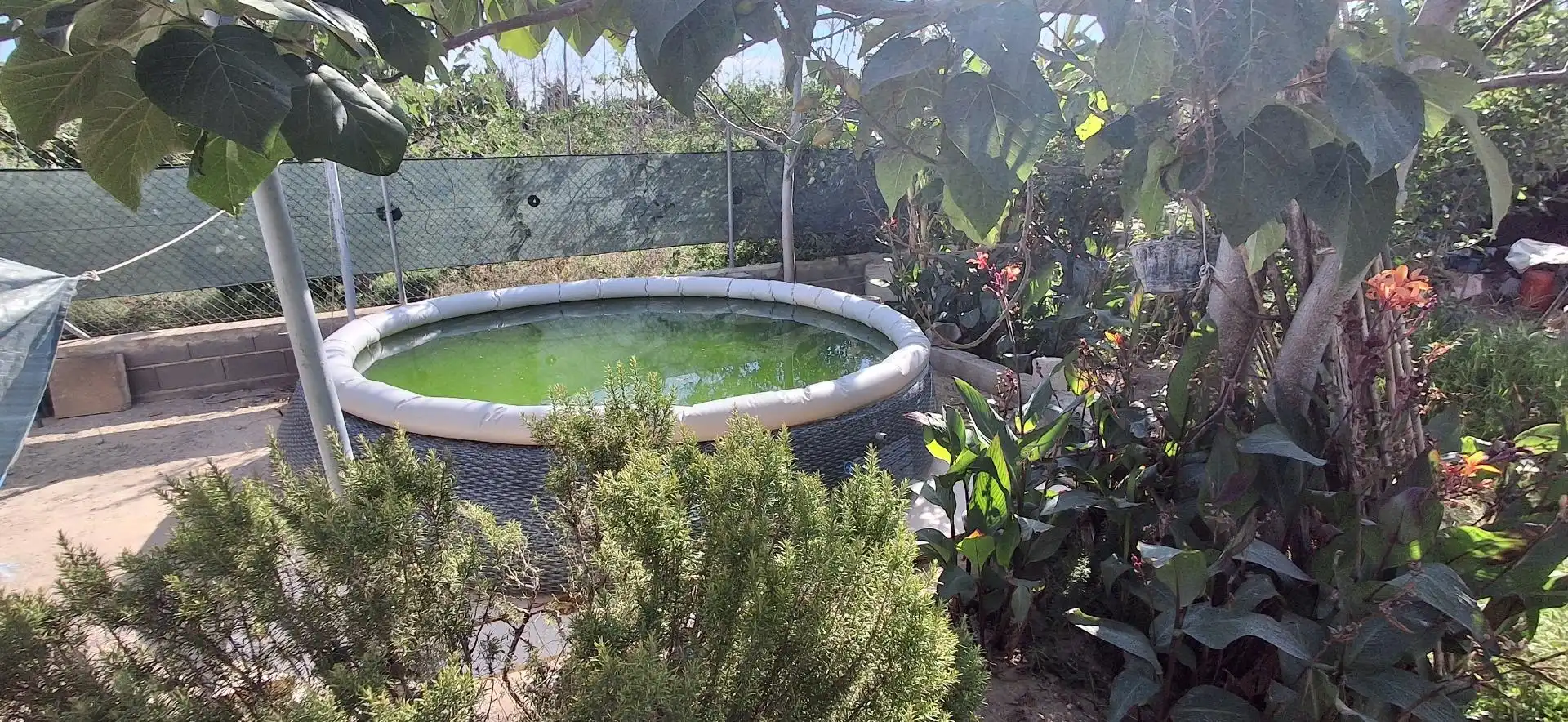 Piscina de Casa o chalet en venta en Cullera con Jardín privado y Terraza