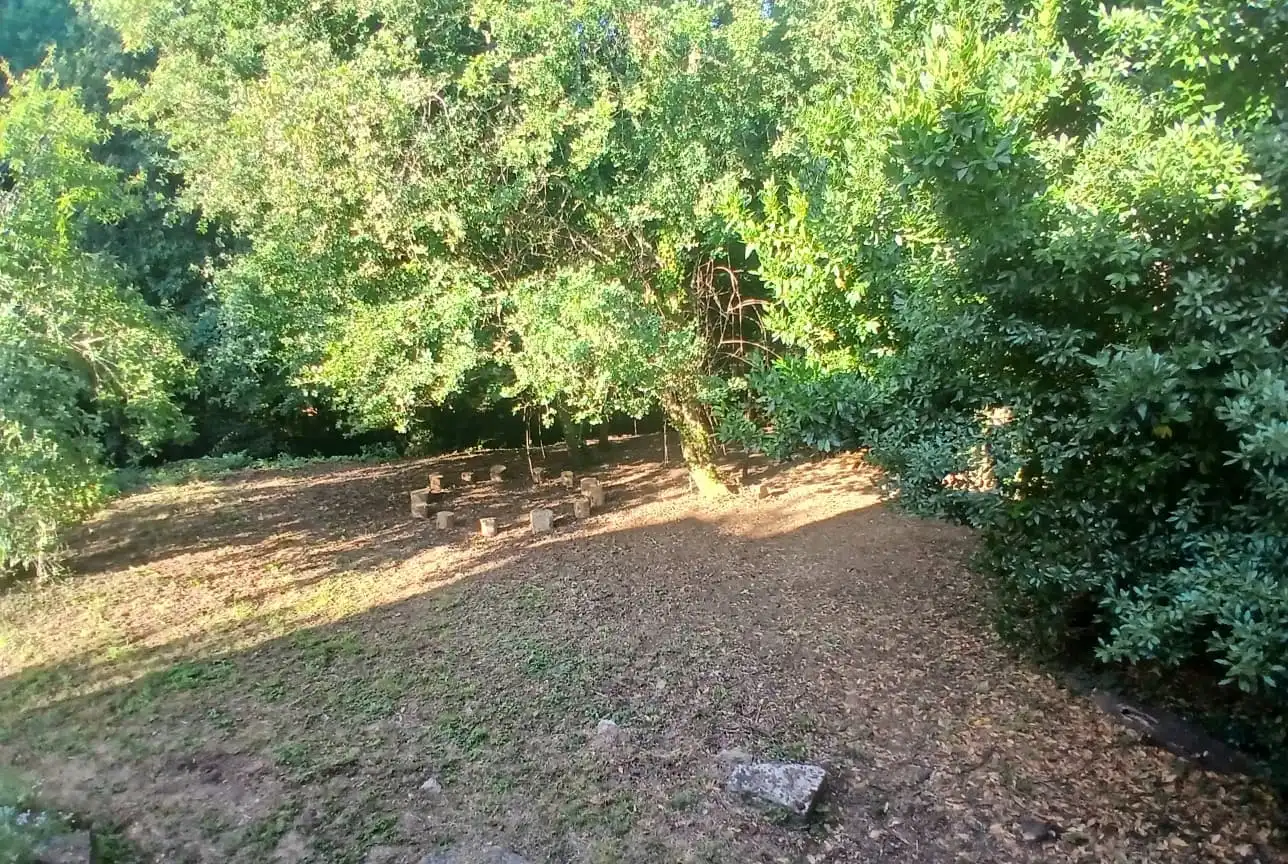Casa rústica en venda a Gomesende, imagen 19