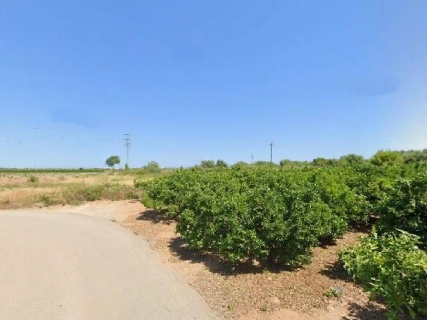 Terrenys i solars en venda a Almenara