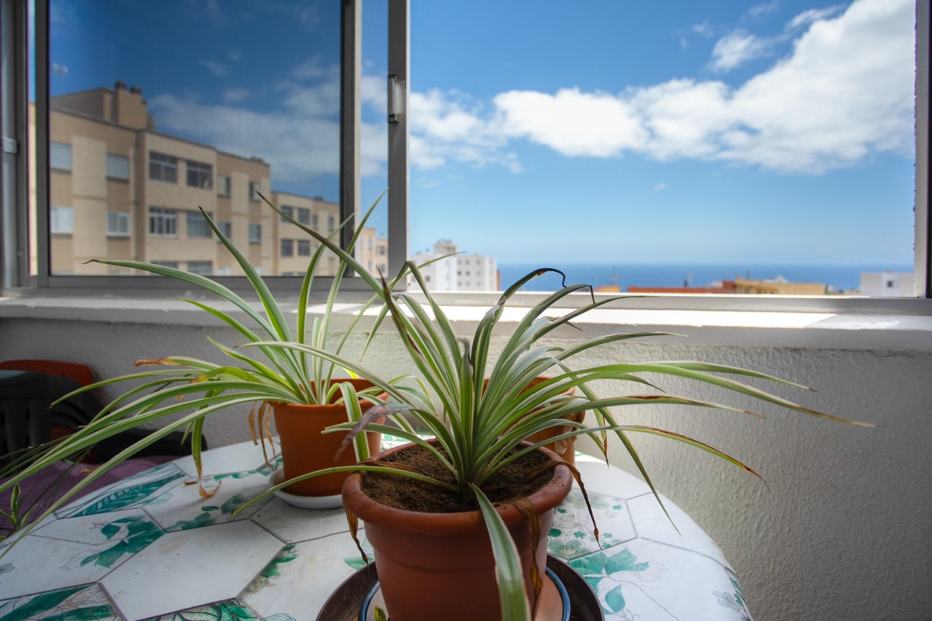Terraza de Piso en venta en  Santa Cruz de Tenerife Capital con Terraza