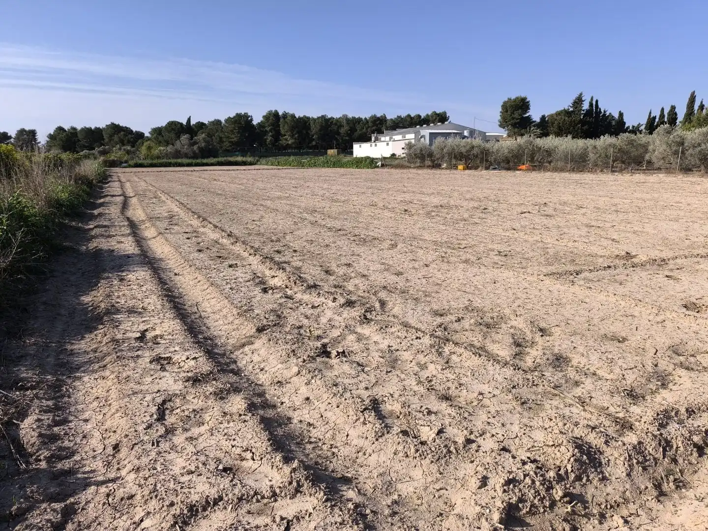 Terreno en venta en Benijófar