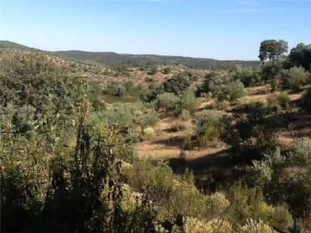 Terreny rústic en venda a Alcaracejos, imagen 4