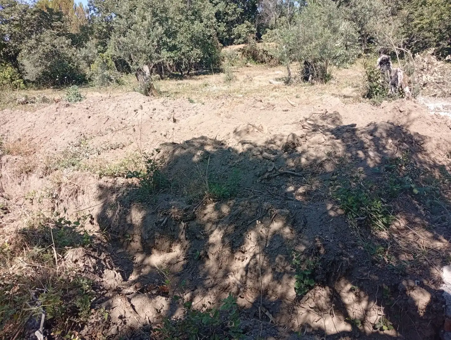 Terreni e lotti in vendita a Villanueva de la Vera, imagen 37