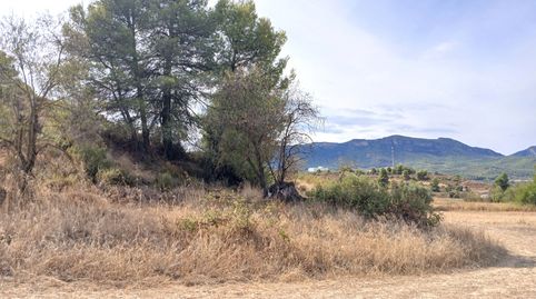 Valderrobres-Finca cerca del pueblo con vistas, immagine 4