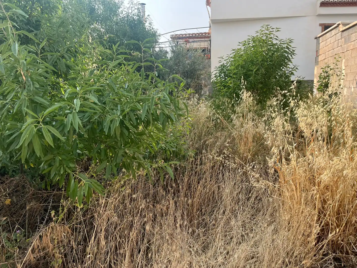 Rural land for sale in Calle Verano, imagen 9