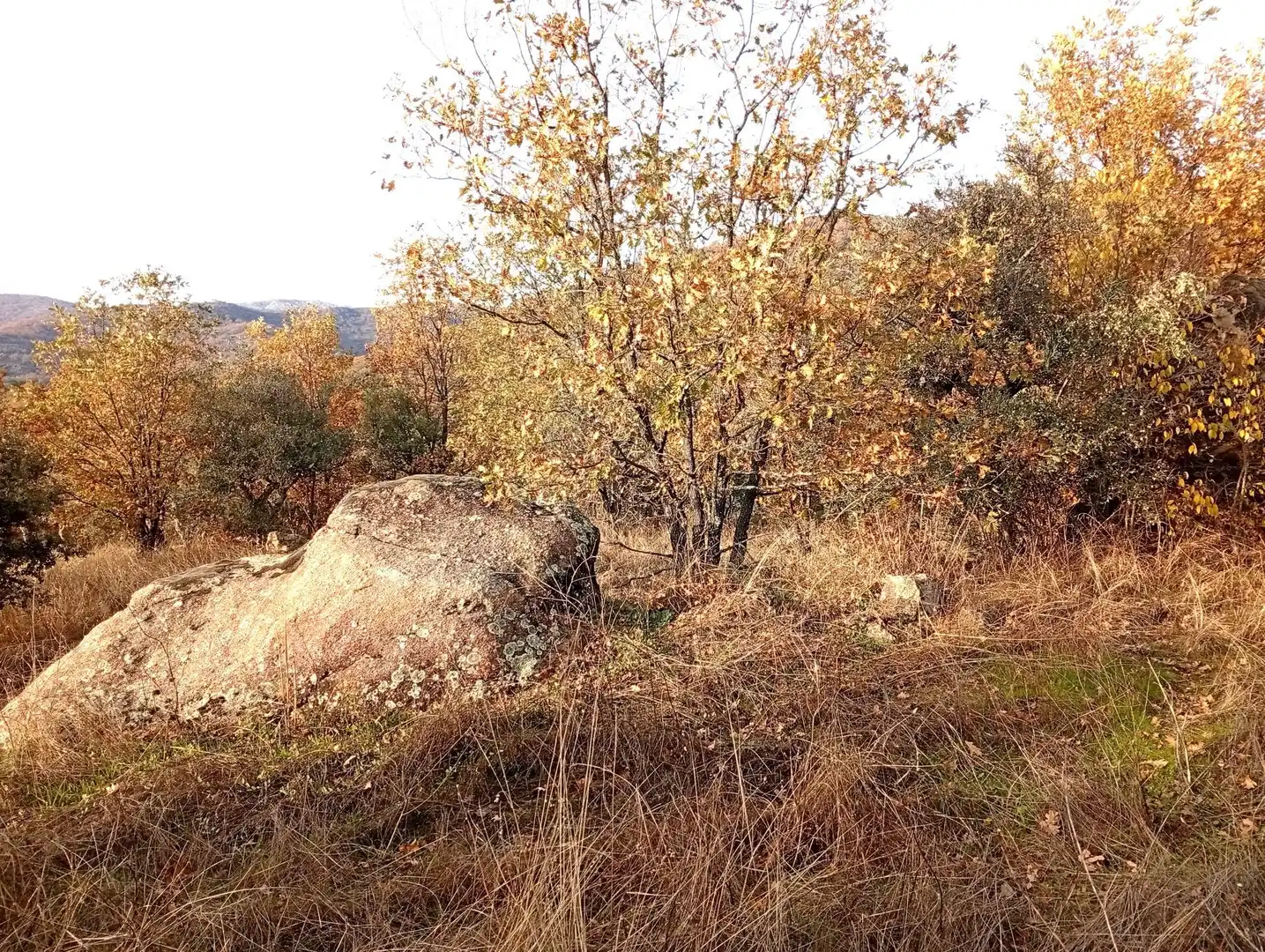 Terreni e lotti in vendita a Viandar de la Vera, imagen 50