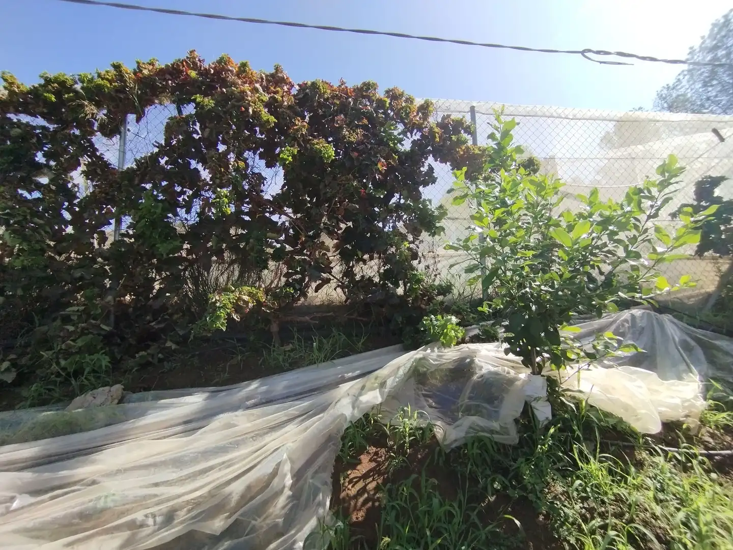 Terreno rustico in vendita a Santa Fe de Mondújar, imagen 19