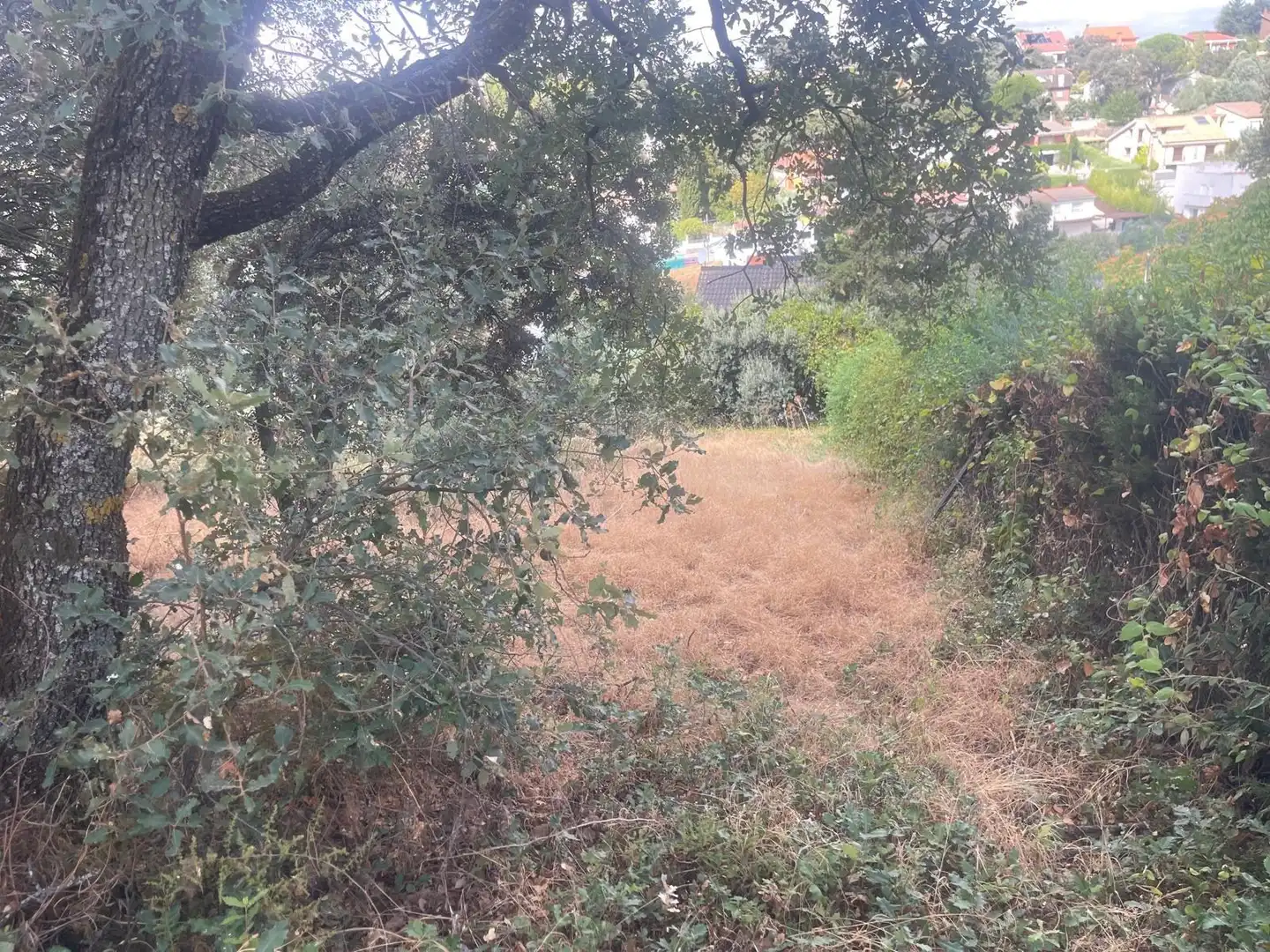 Terreno residenziale in vendita a El Casar, imagen 8