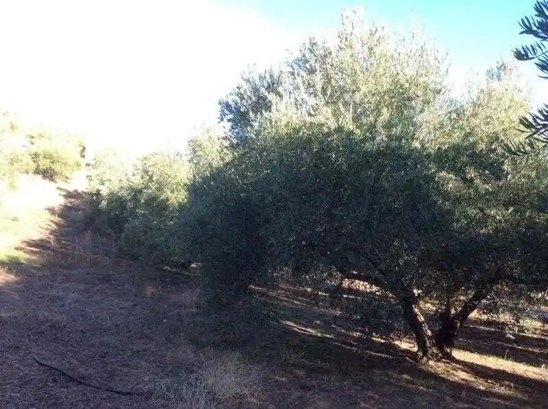 Terreni e lotti in vendita a Castillo de Locubín, imagen 5