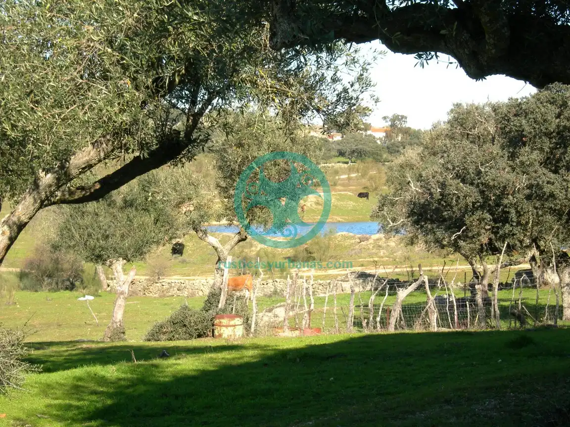 Jardín de Terreno en venta en Mata de Alcántara