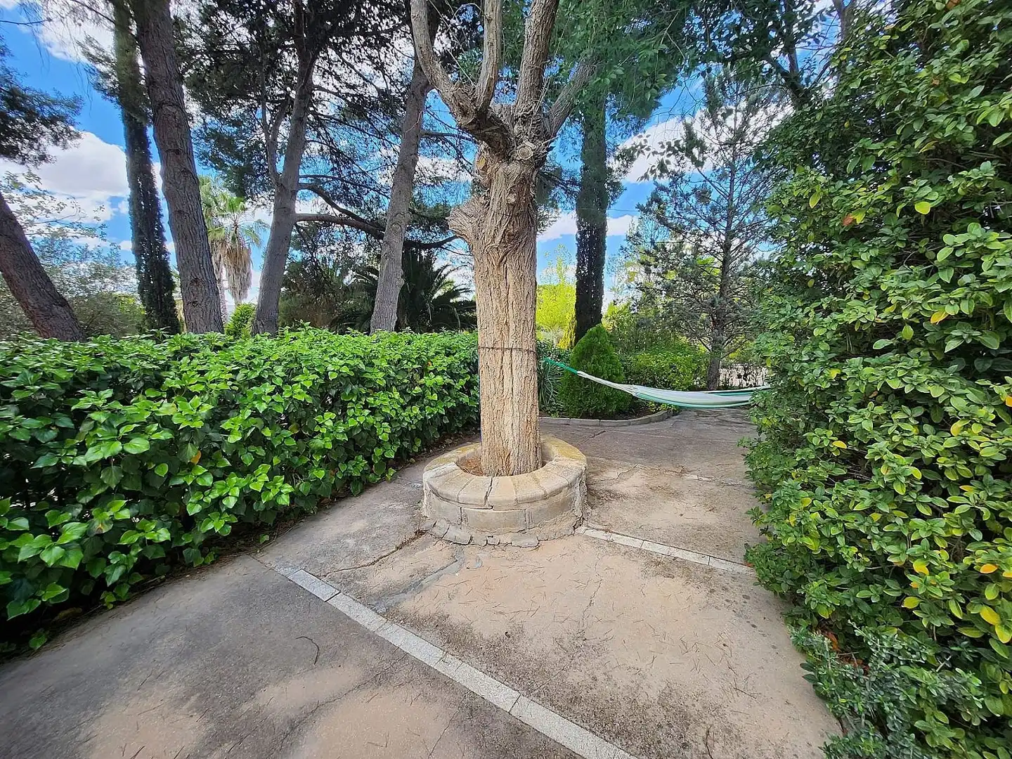 Casa en venta en Sax, imagen 15