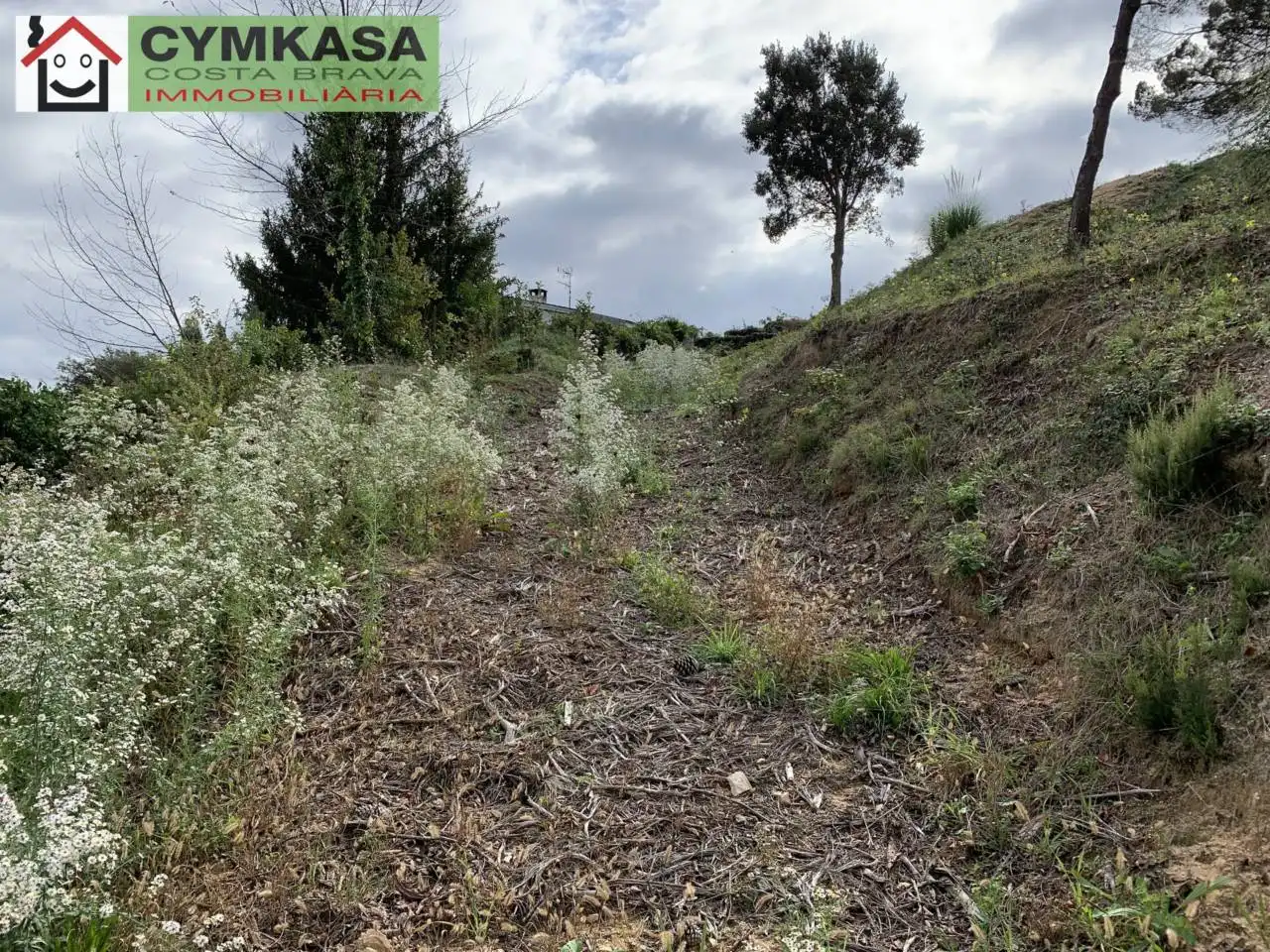 Residential land for sale in Montbarbat, imagen 6