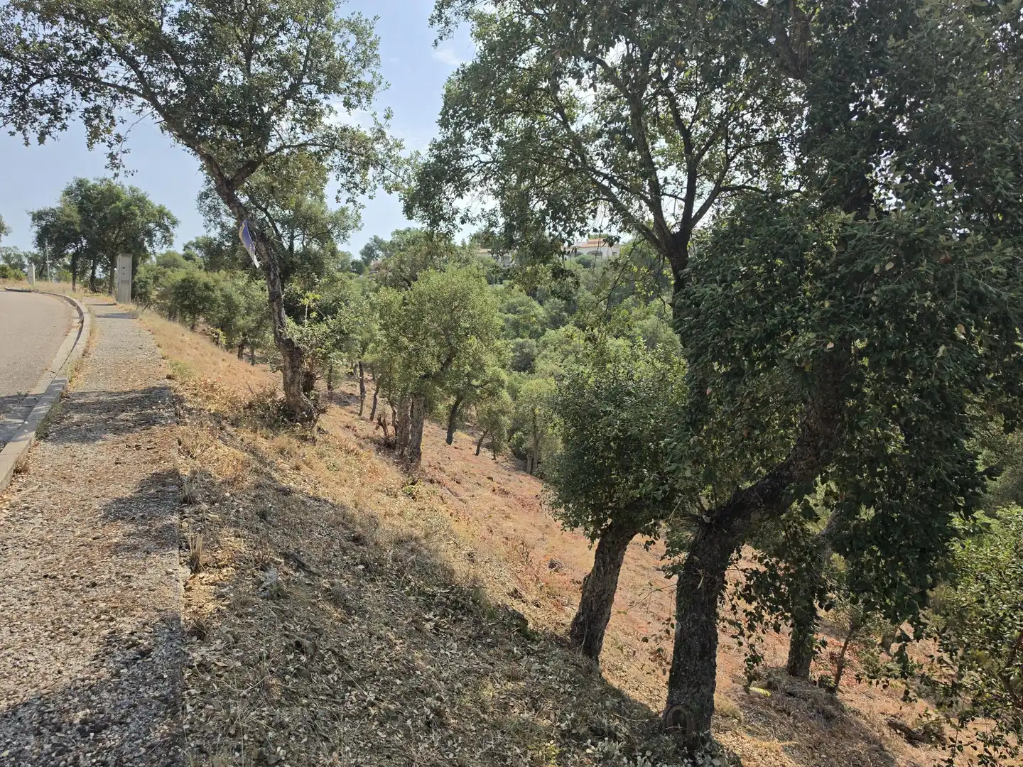 Terreny residencial en venda a Avet 27, imagen 2