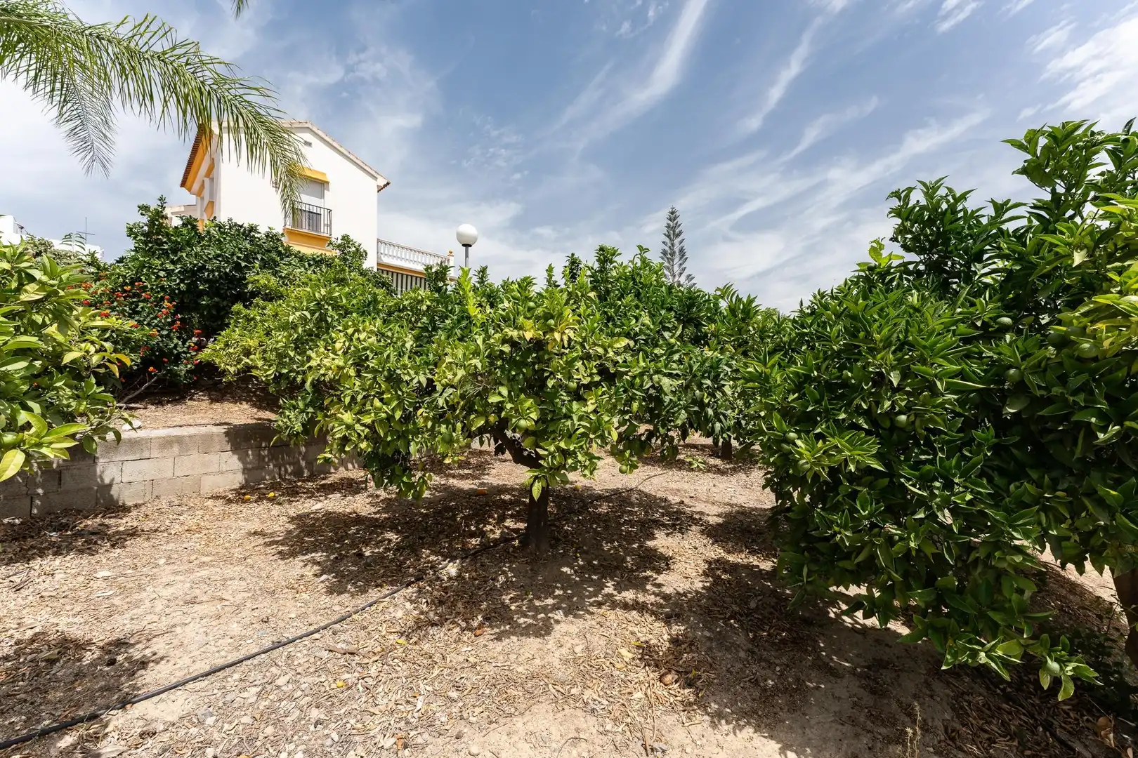 Casa rústica amb jardí en venda a El Romeral - Peñón de Zapata, imagen 7