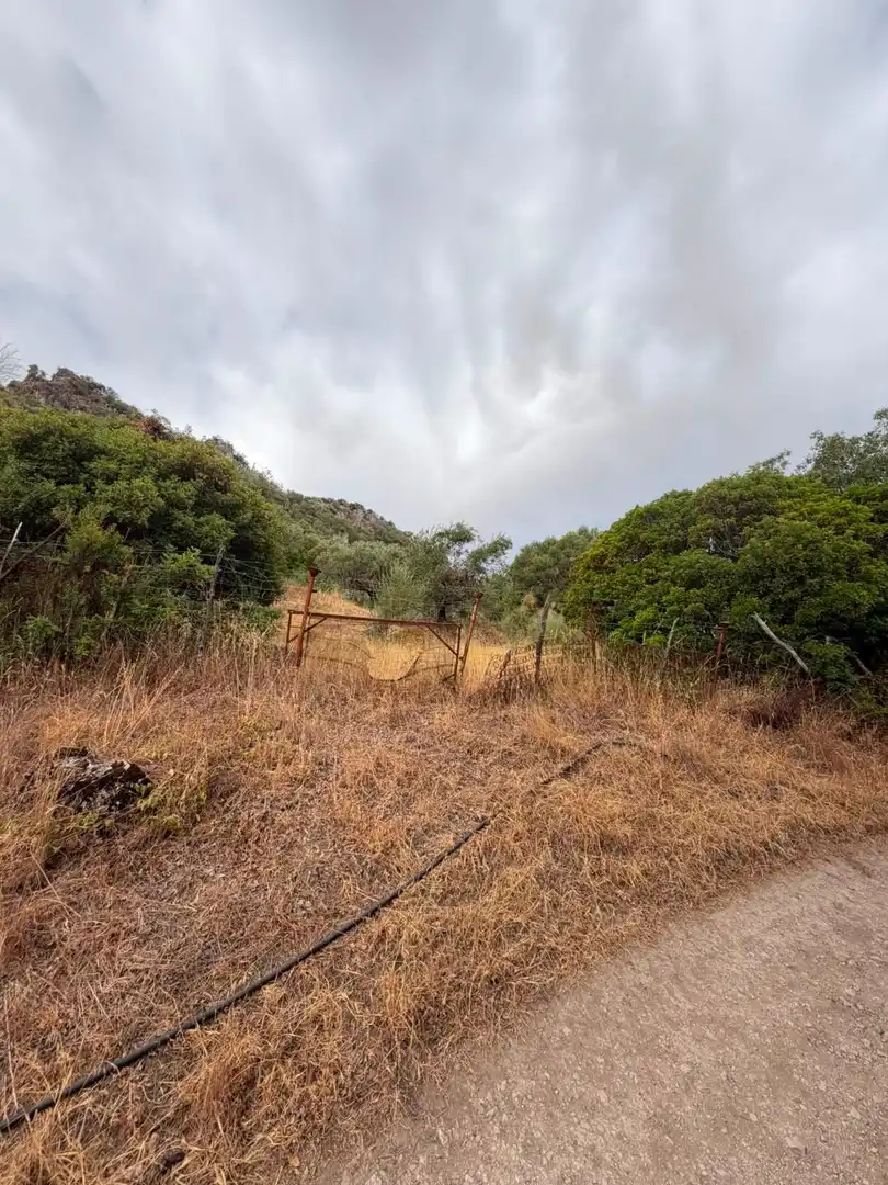 Rural land for sale in Morón de la Frontera, imagen 9