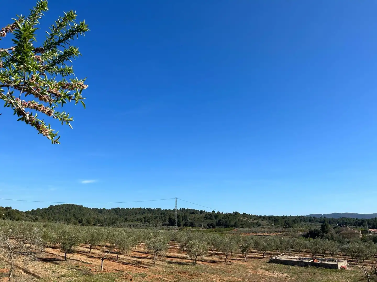 Terreno en venta en BARONA, Vall d'Alba