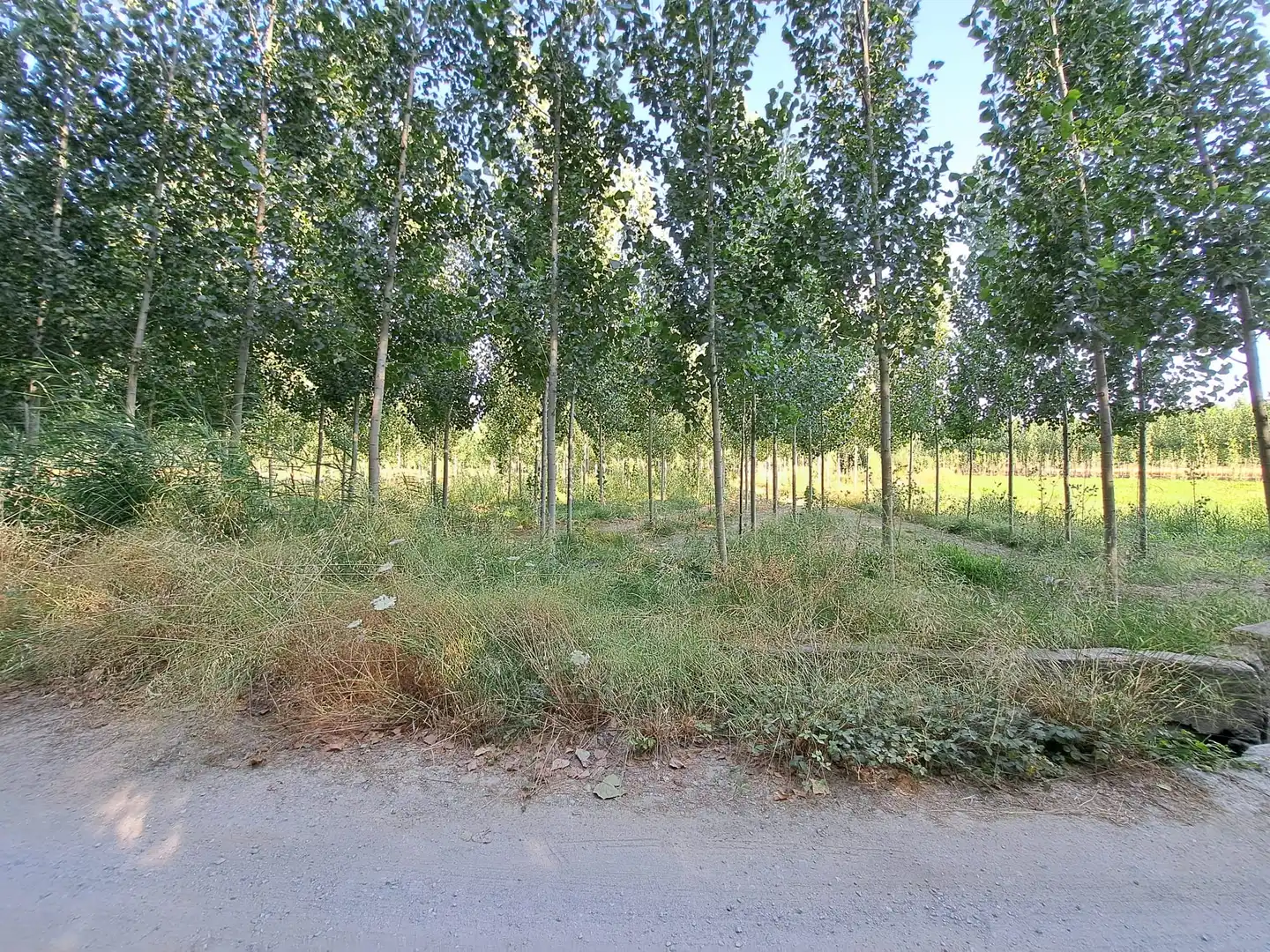 Land for sale in Fuente Vaqueros